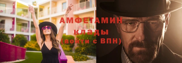 тгк Ельня