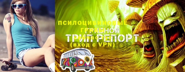 тгк Ельня