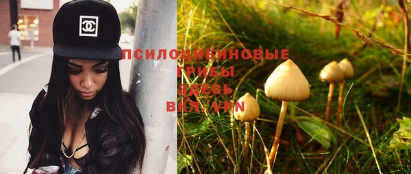 тгк Ельня