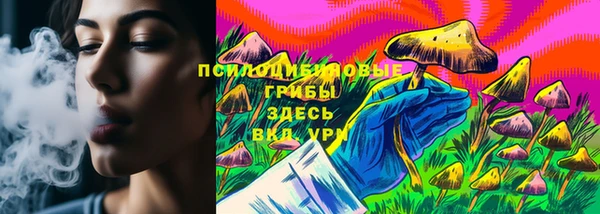тгк Ельня