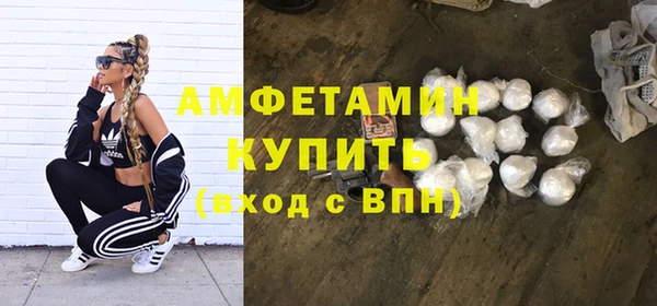 тгк Ельня