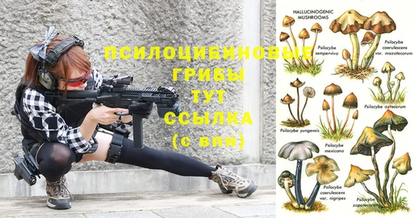 тгк Ельня