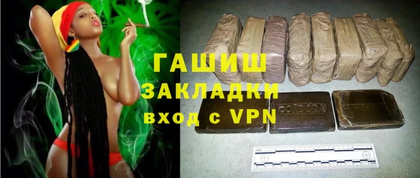 тгк Ельня
