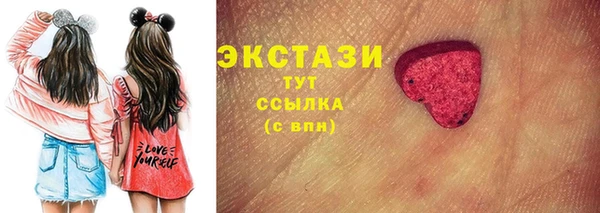 тгк Ельня