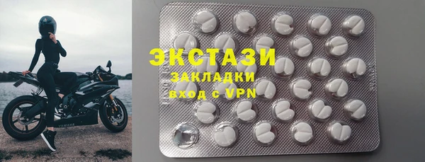 тгк Ельня