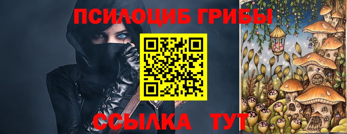 Псилоцибиновые грибы GOLDEN TEACHER Славянск-на-Кубани