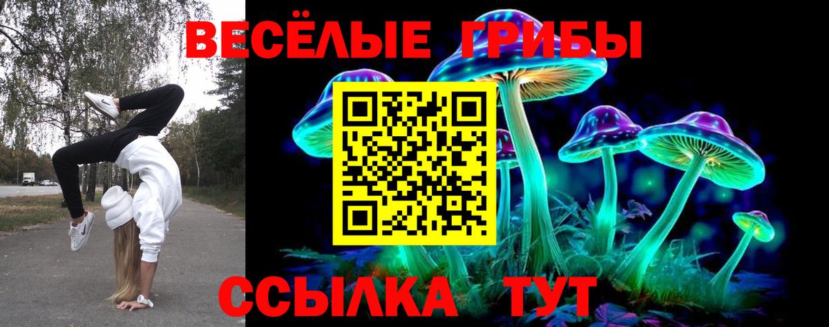 Псилоцибиновые грибы Magic Shrooms  Псилоцибиновые грибы прущие грибы  Вход с VPN  Славянск-на-Кубани 